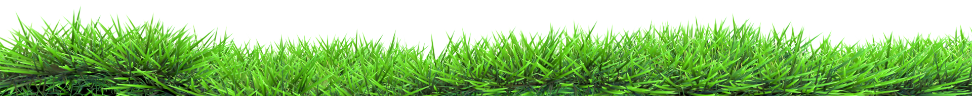 grass